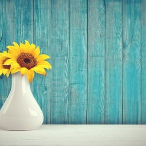 Meet your Posher, Christie